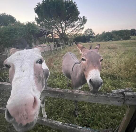 مبيت وإفطار Hameau Du Hour   Chambre D Hôtes Et Gîtes