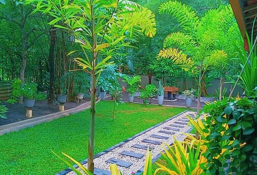 Bed and Breakfast Happy Stay Mirissa