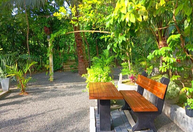 Bed and Breakfast Happy Stay Mirissa