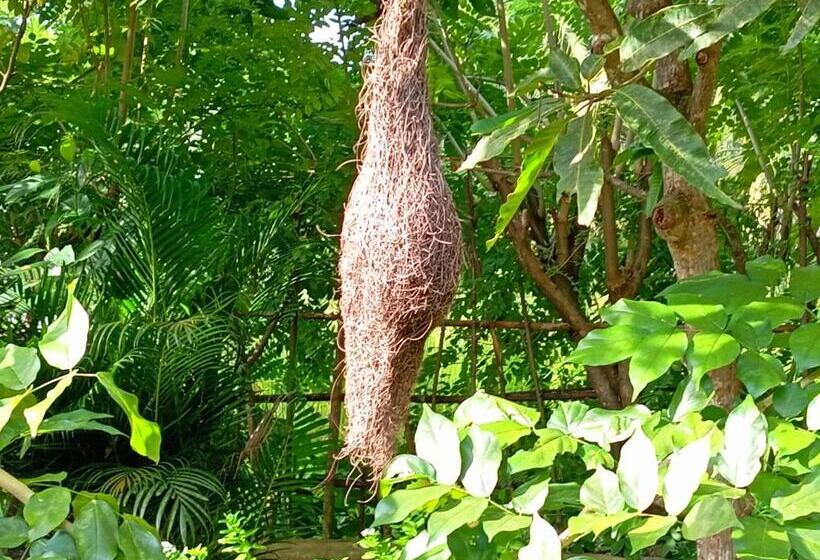 Bed and Breakfast Happy Stay Mirissa