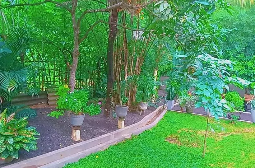 Aamiaismajoitus (B&B) Happy Stay Mirissa