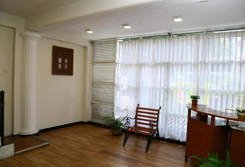 Отель City Nest Inn