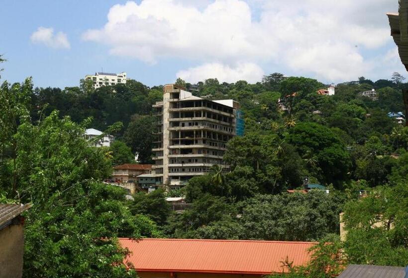 Отель City Nest Inn