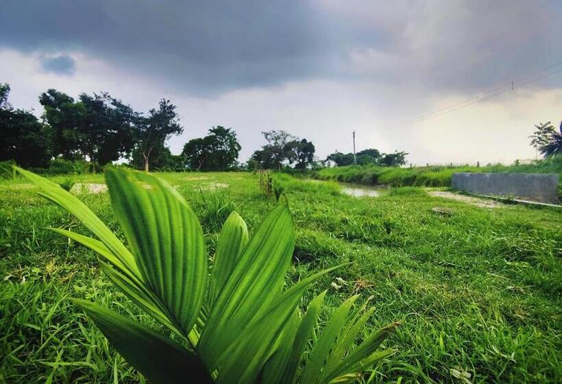 בית מלון כפרי Kaia   Farm Stay & Garden Cafe   Free Fishing