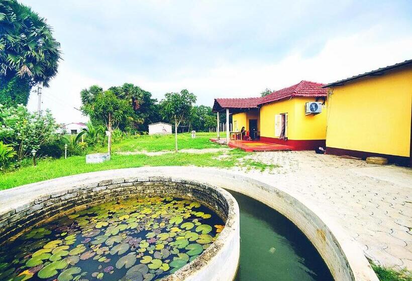 בית מלון כפרי Kaia   Farm Stay & Garden Cafe   Free Fishing