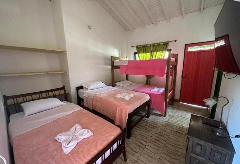 בית מלון כפרי Villa Alicia Finca