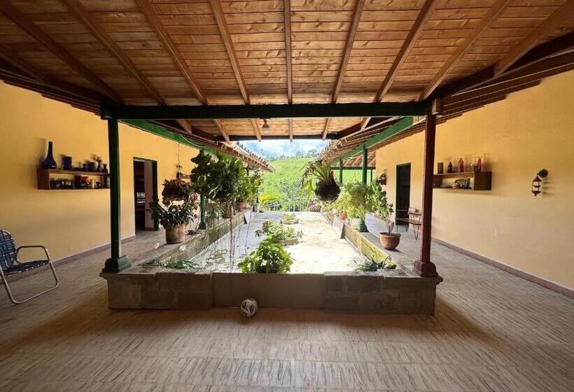 בית מלון כפרי Villa Alicia Finca