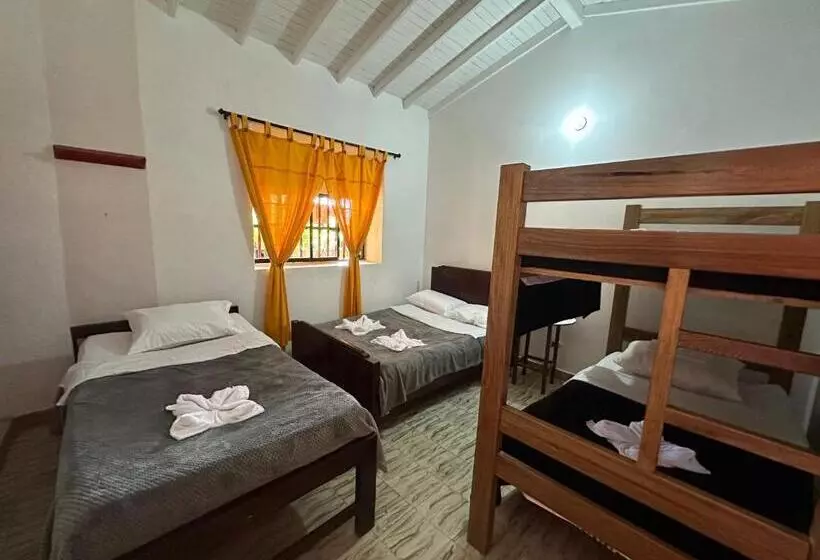 ホテル Villa Alicia Finca
