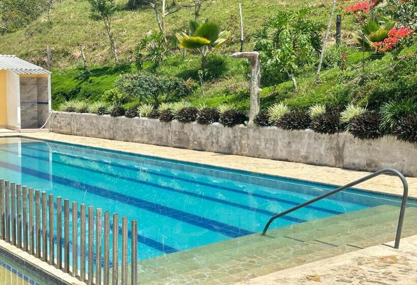 בית מלון כפרי Villa Alicia Finca