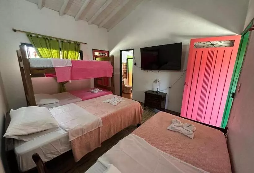 ホテル Villa Alicia Finca