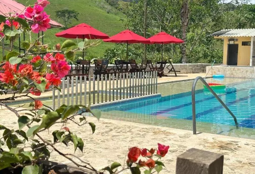 ホテル Villa Alicia Finca