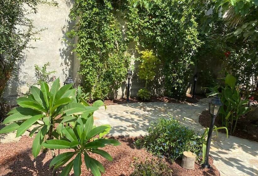 פנסיון Flor Guest House