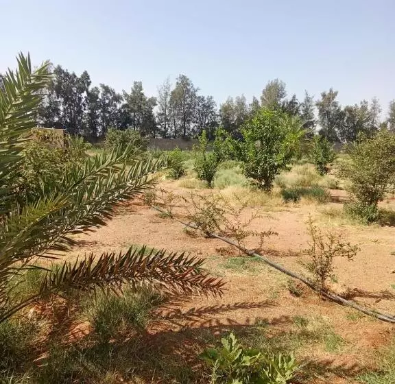منتجع التربية