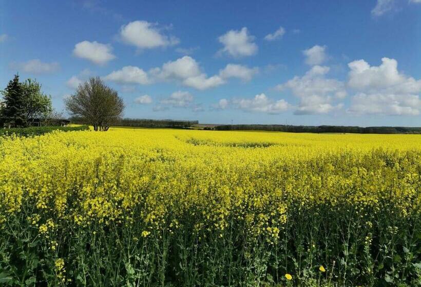 호텔 Ferienhaus Am Kleinbauernhof Gersdorf Bei Kühlungsborn