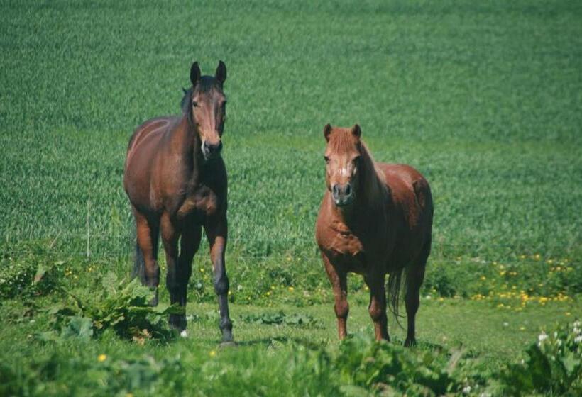 호텔 Ferienhaus Am Kleinbauernhof Gersdorf Bei Kühlungsborn