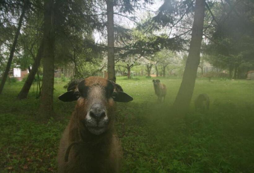 호텔 Ferienhaus Am Kleinbauernhof Gersdorf Bei Kühlungsborn