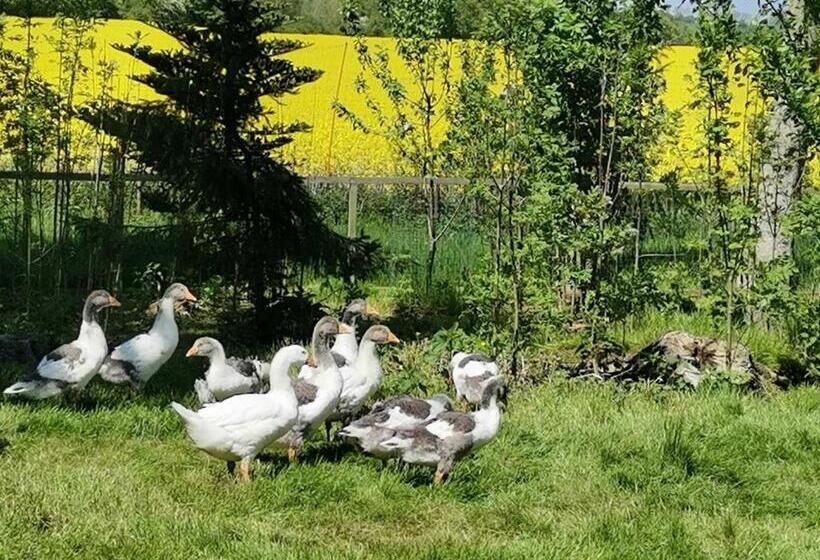 호텔 Ferienhaus Am Kleinbauernhof Gersdorf Bei Kühlungsborn