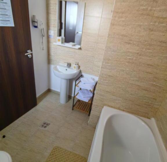 בית מלון כפרי Pensiunea Pastravaria Vistisoara