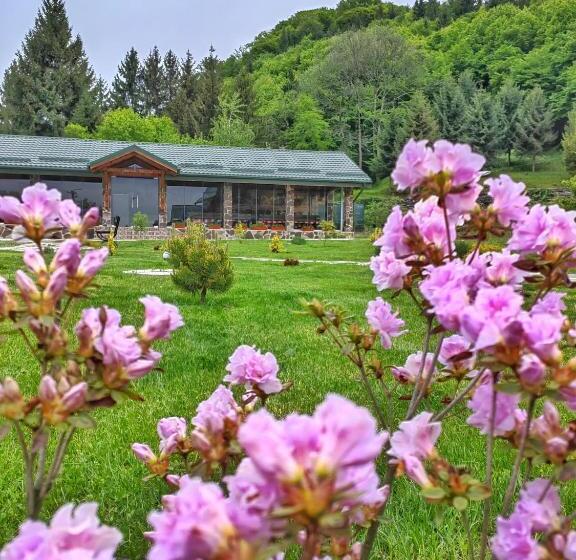 בית מלון כפרי Pensiunea Pastravaria Vistisoara