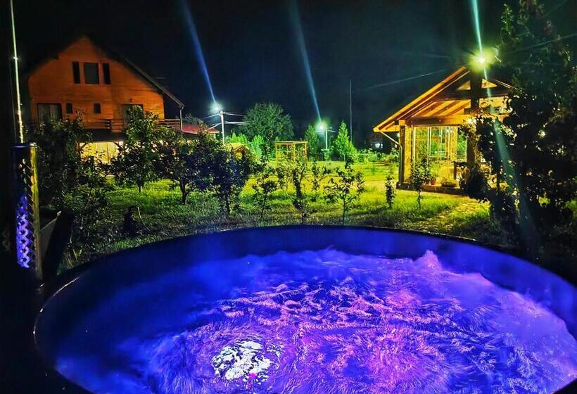 בית מלון כפרי Pensiunea Pastravaria Vistisoara