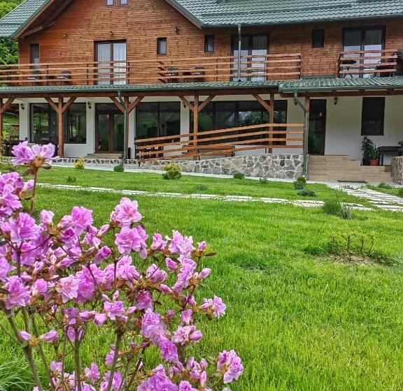 בית מלון כפרי Pensiunea Pastravaria Vistisoara