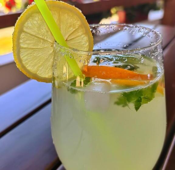 בית מלון כפרי Pensiunea Pastravaria Vistisoara