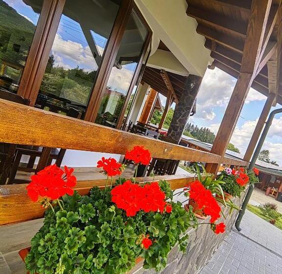 בית מלון כפרי Pensiunea Pastravaria Vistisoara