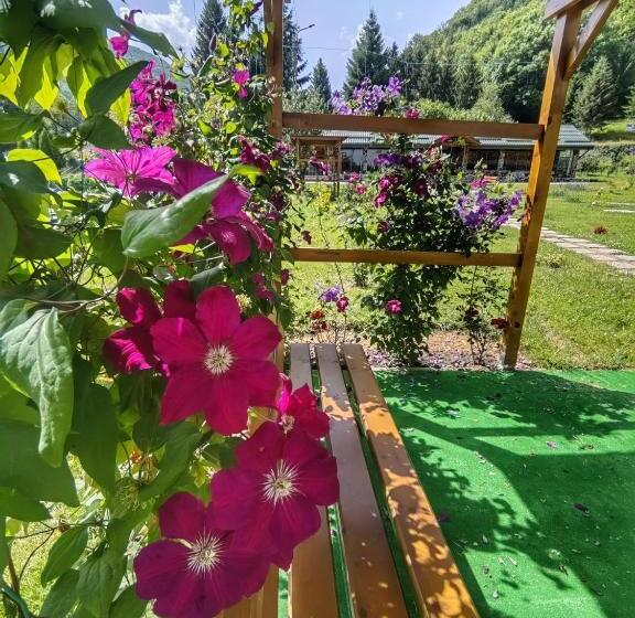 בית מלון כפרי Pensiunea Pastravaria Vistisoara