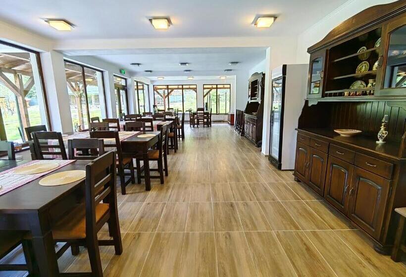 בית מלון כפרי Pensiunea Pastravaria Vistisoara