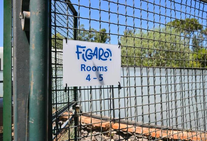 膳宿费 Figaro Rooms   Ischia