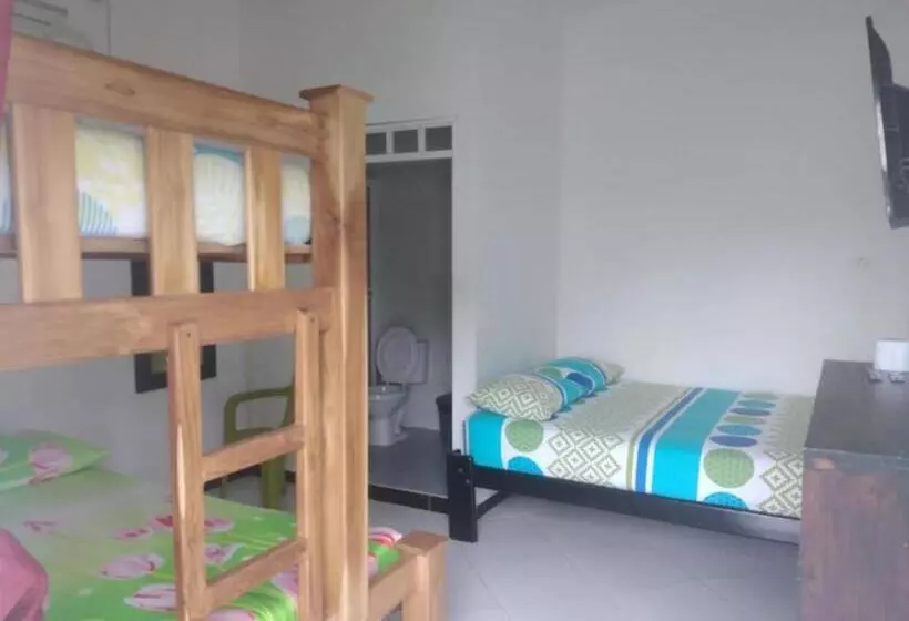 ペンション Hostal Manatí