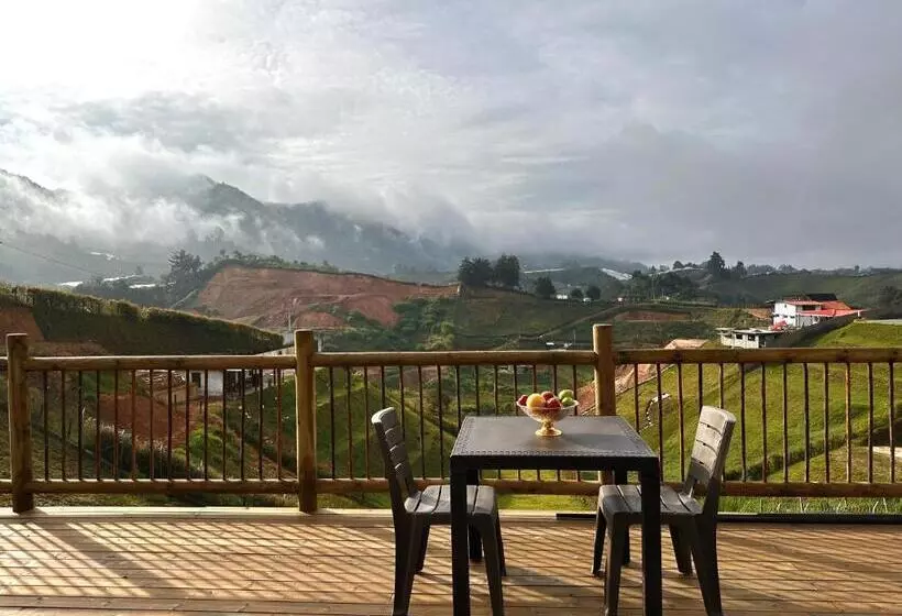 Aamiaismajoitus (B&B) Casa Fénix