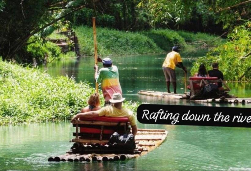 هاستل Island Tours & Airport Service Only