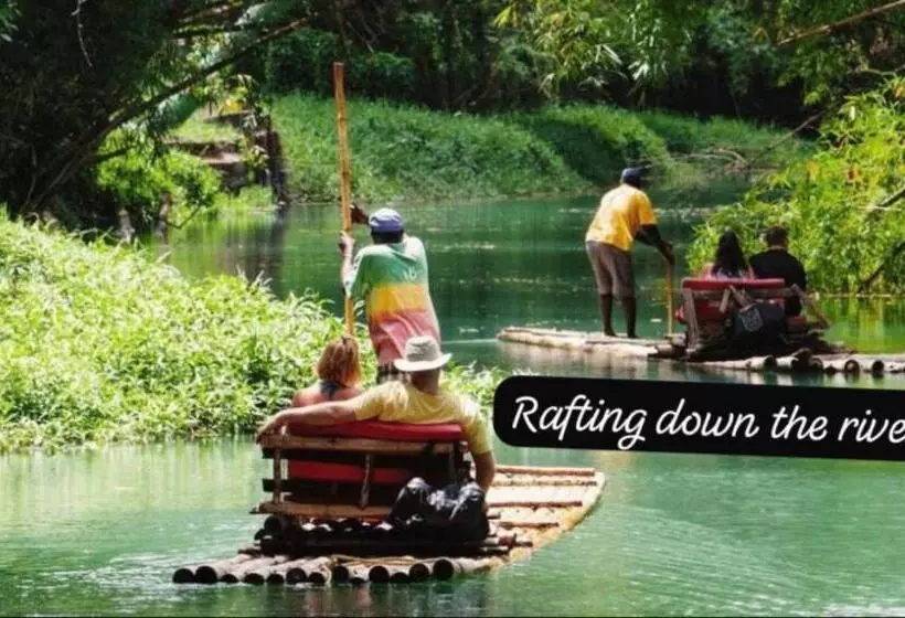 هاستل Island Tours & Airport Service Only