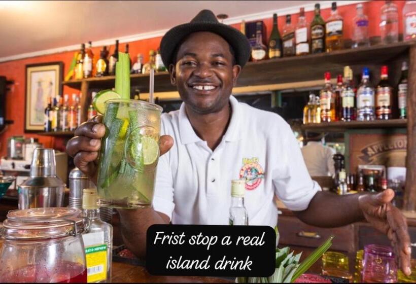 هاستل Island Tours & Airport Service Only