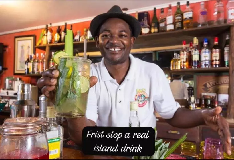 هاستل Island Tours & Airport Service Only