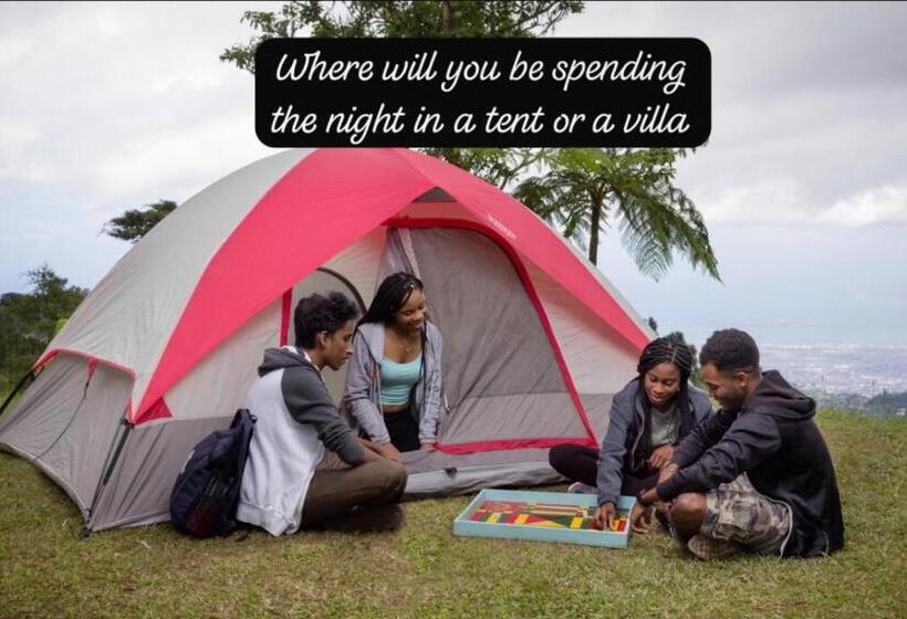 هاستل Island Tours & Airport Service Only