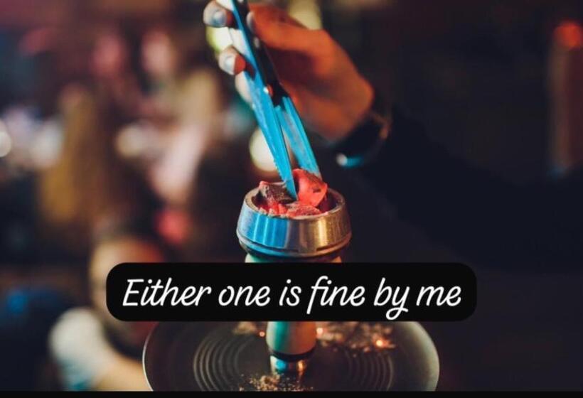 هاستل Island Tours & Airport Service Only