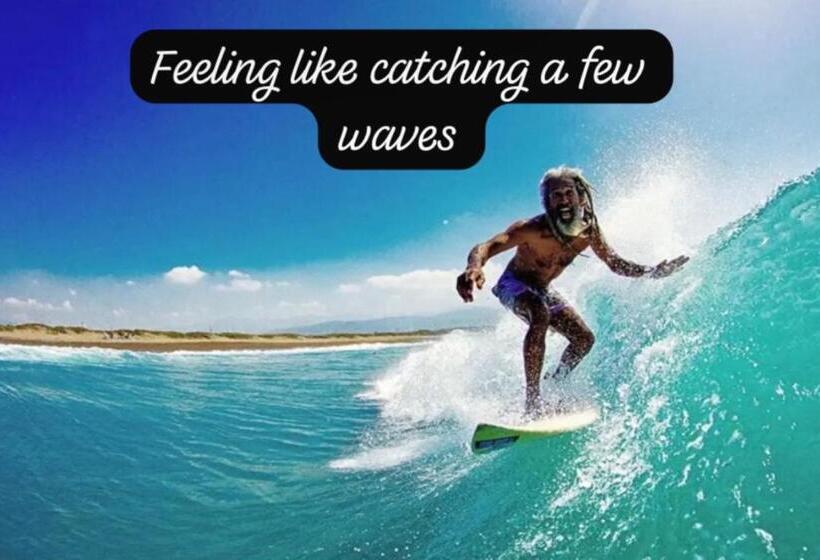 هاستل Island Tours & Airport Service Only