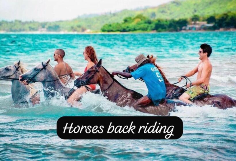 هاستل Island Tours & Airport Service Only