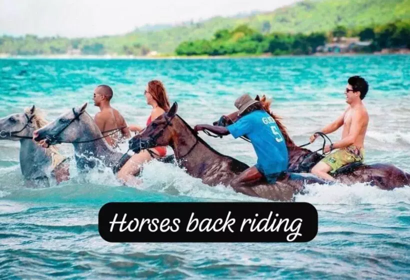هاستل Island Tours & Airport Service Only
