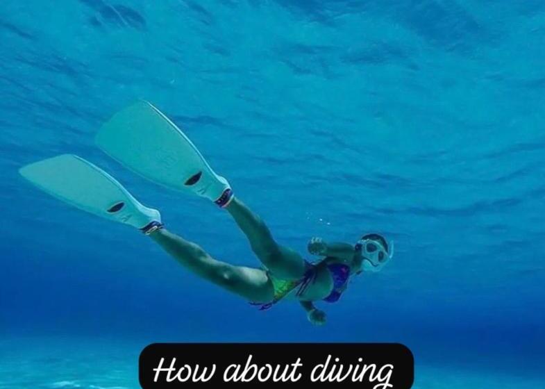 هاستل Island Tours & Airport Service Only