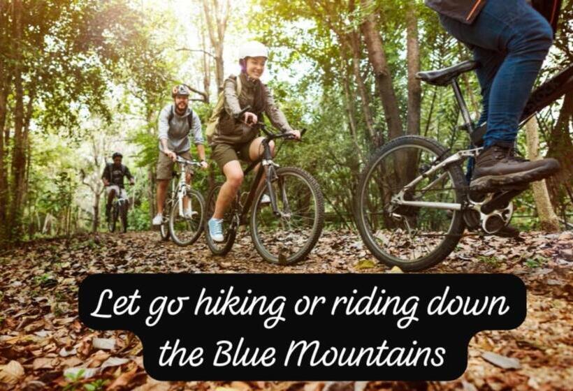 هاستل Island Tours & Airport Service Only