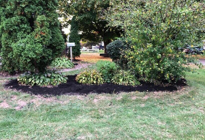 ベッドアンドブレックファースト Cozy Cape