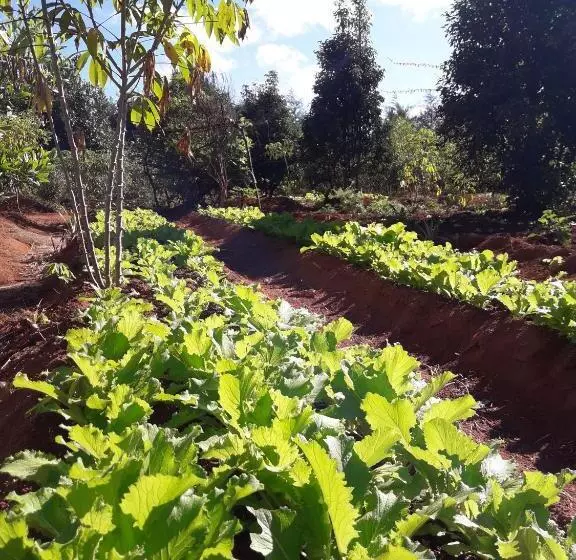 هتل Ferme D Ambohimanga