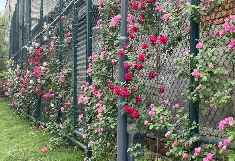 Jinyang Xinyi Hotel   Tianfu International Airport