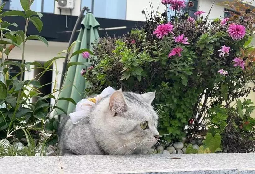 Jinyang Xinyi Hotel   Tianfu International Airport