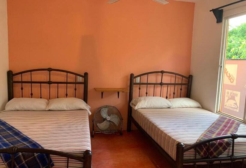 膳宿费 Anamaya Hostal