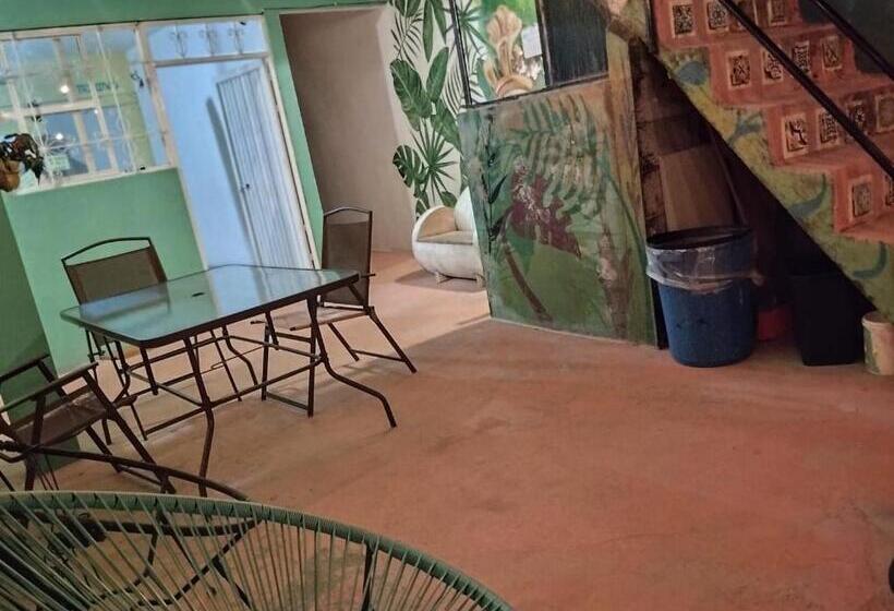 膳宿费 Anamaya Hostal