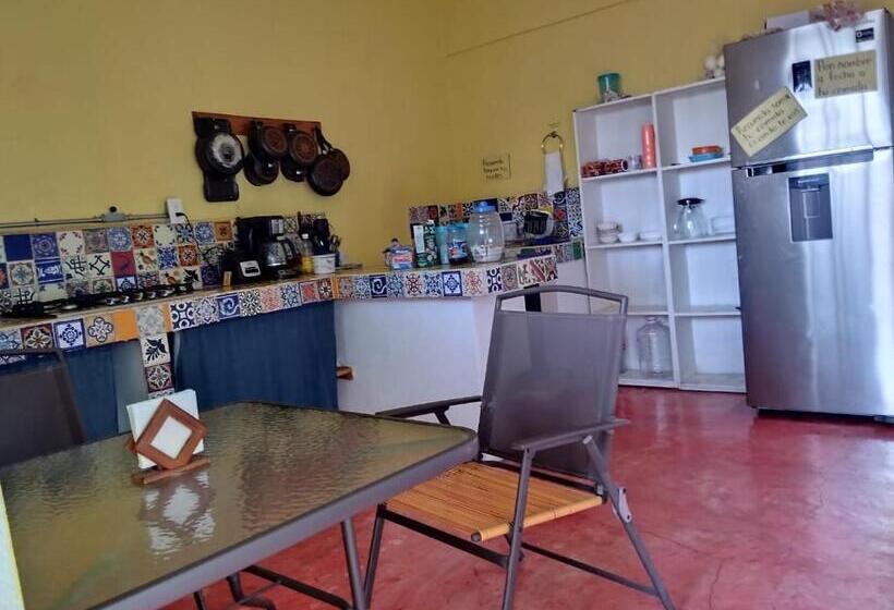 膳宿费 Anamaya Hostal